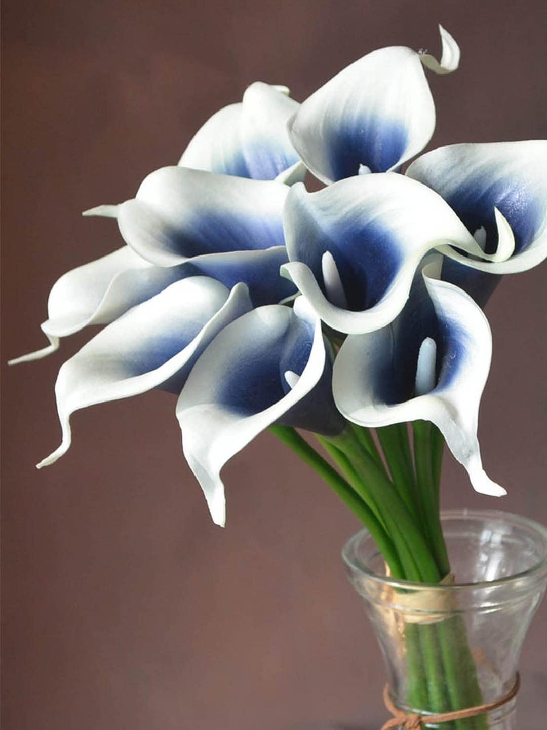 

TIED RIBBONS White & Green 10 Pieces Artificial Calla Lily Flowers Without Vase