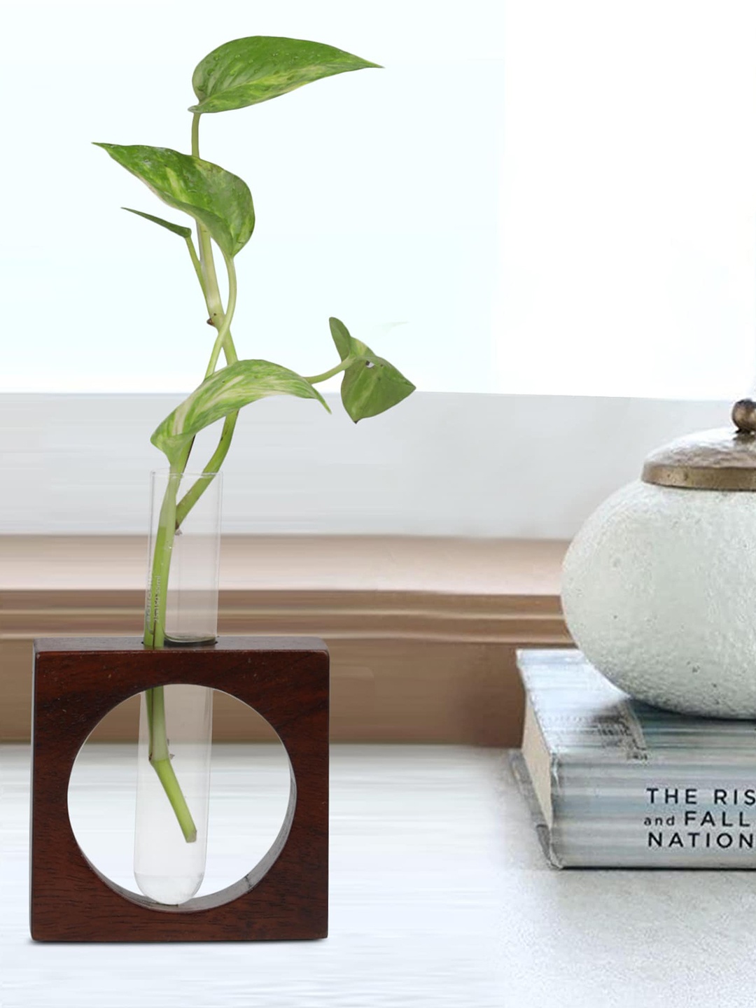 

GLOBALLY INDIAN Brown & Transparent Wooden Testube Planter