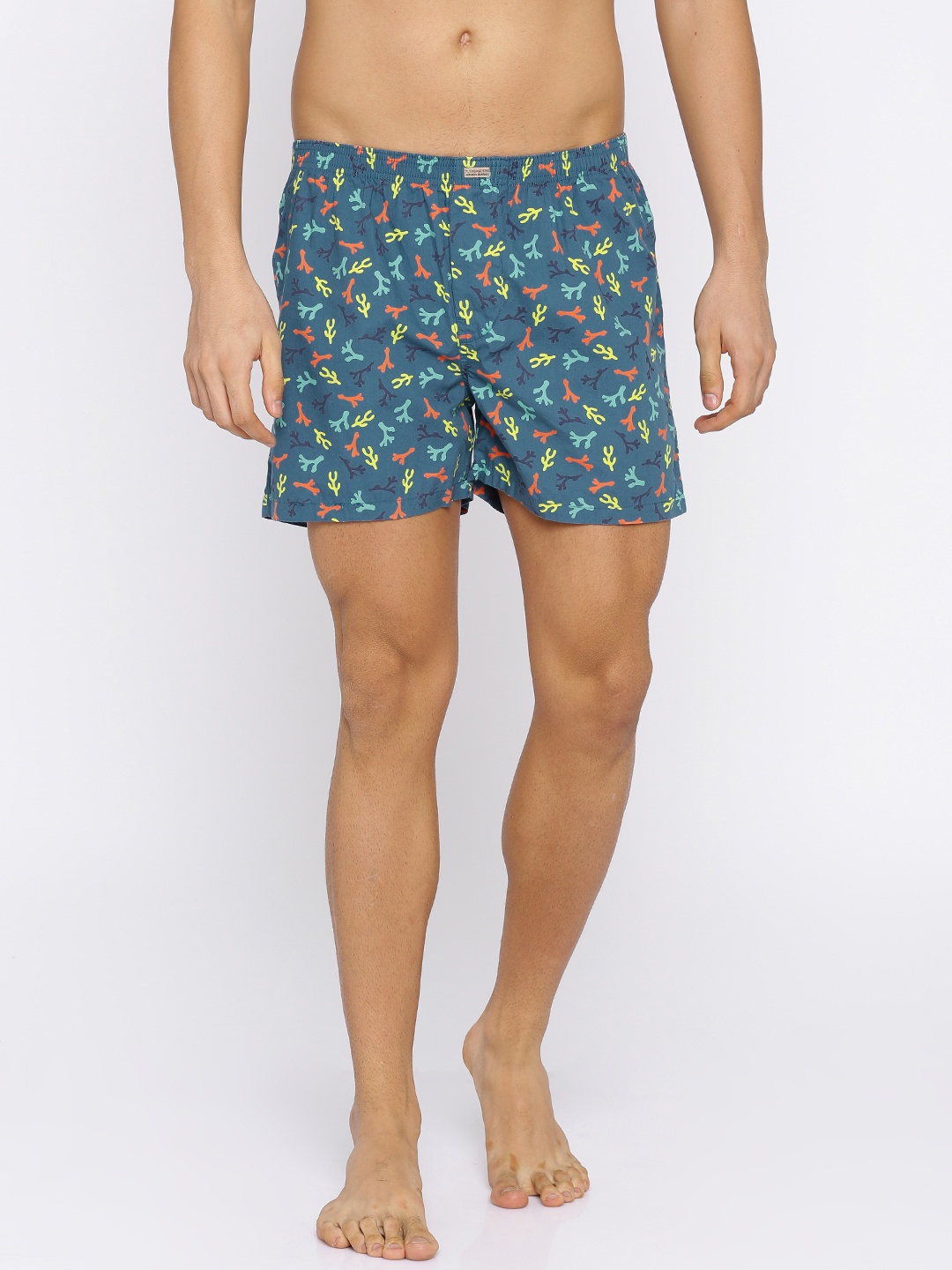 

Flying Machine Blue Printed Pure Cotton Boxers FMAM8067