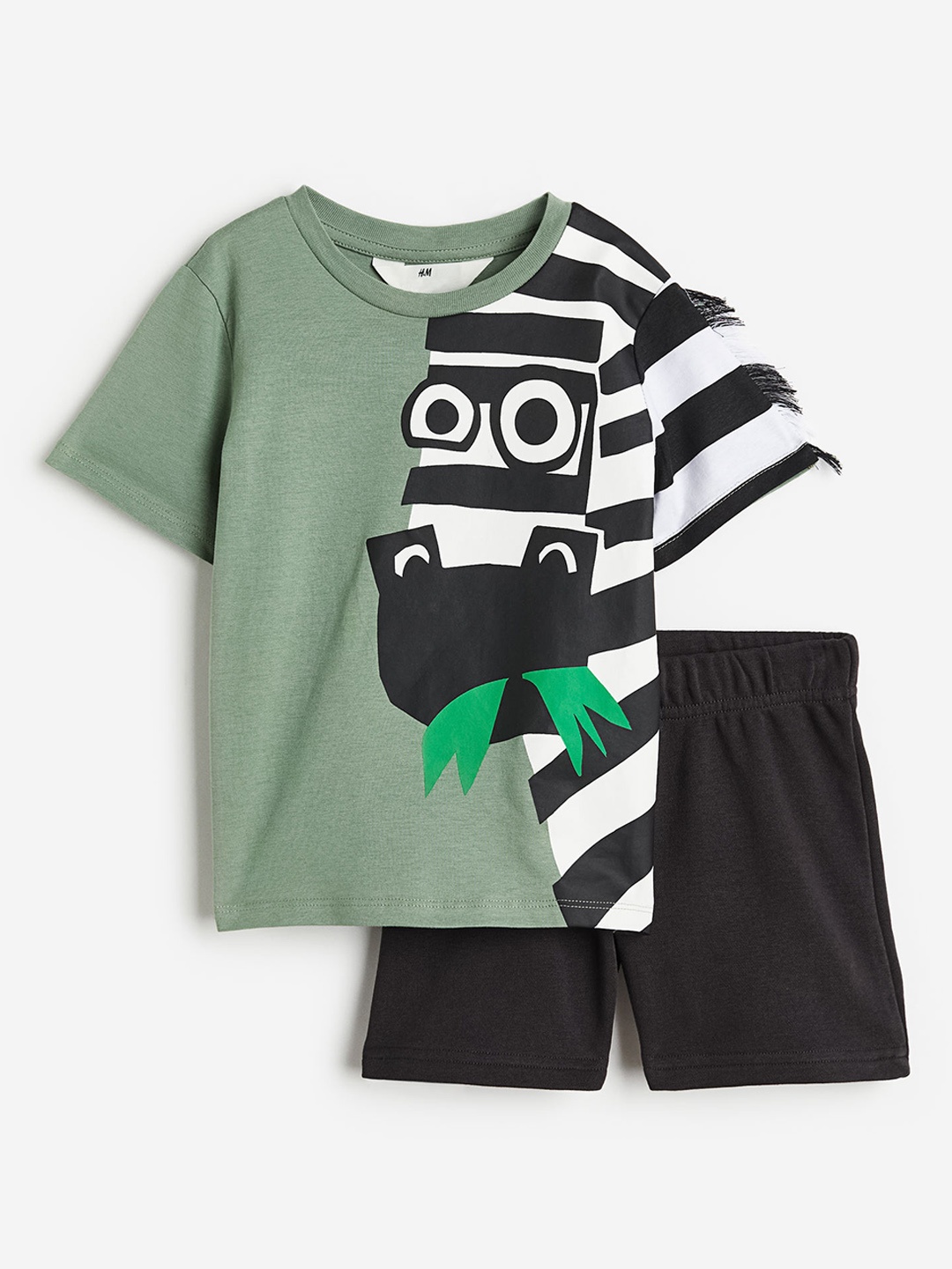 

H&M Boys 2-Piece Appliqued Set, Green