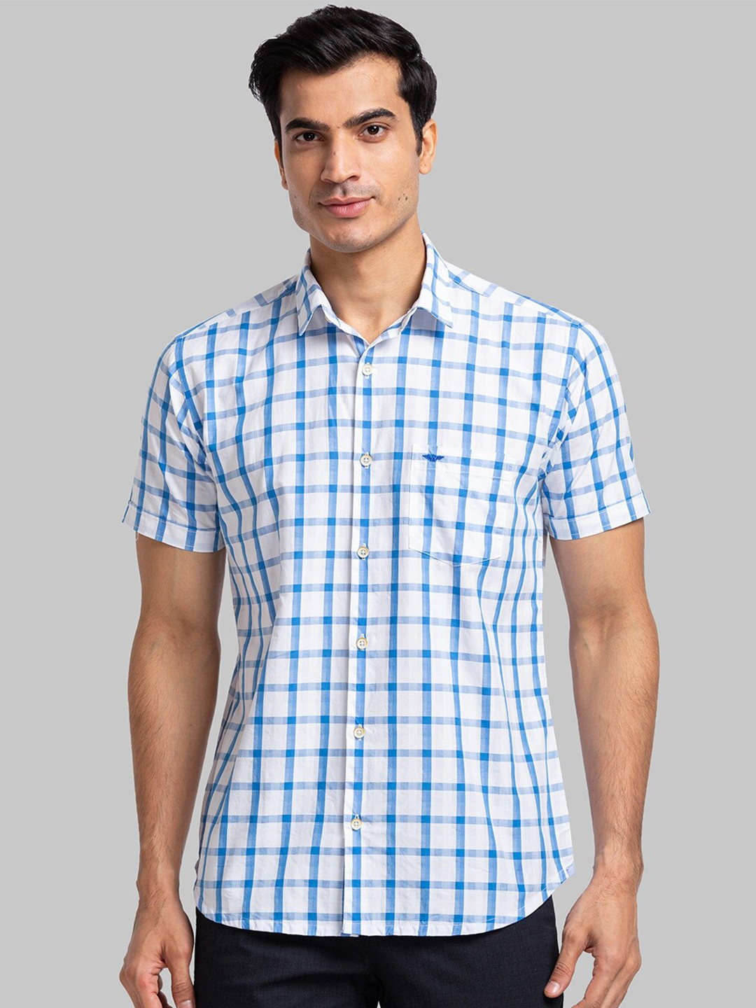 

Park Avenue Slim Fit Checked Pure Cotton Casual Shirt, White