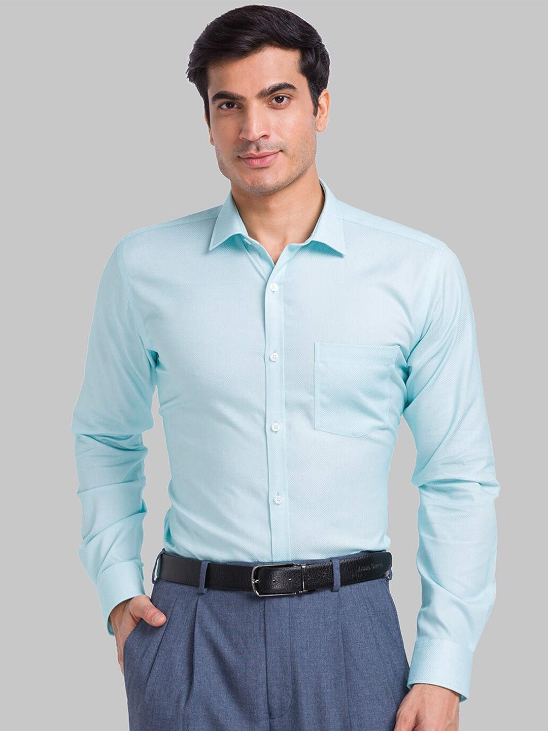 

Park Avenue Slim Fit Opaque Formal Pure Cotton Shirt, Blue
