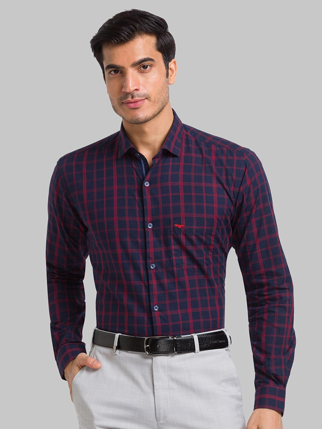 

Park Avenue Slim Fit Checked Pure Cotton Formal Shirt, Blue