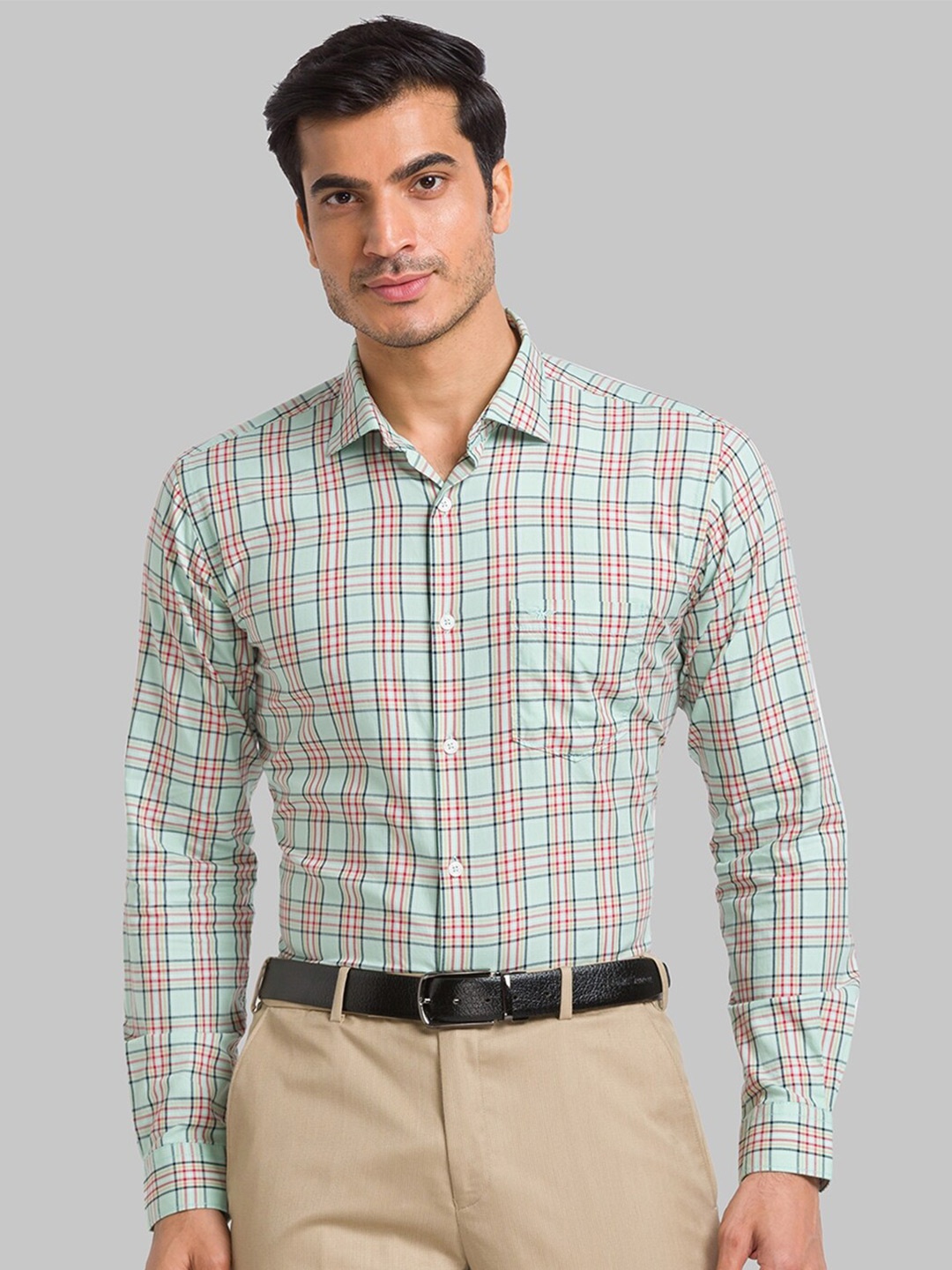 

Park Avenue Slim Fit Checked Pure Cotton Formal Shirt, Green