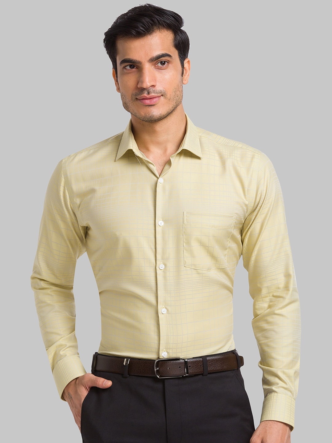

Park Avenue Self Design Spread Collar Pure Cotton Slim Fit Formal Shirt, Beige
