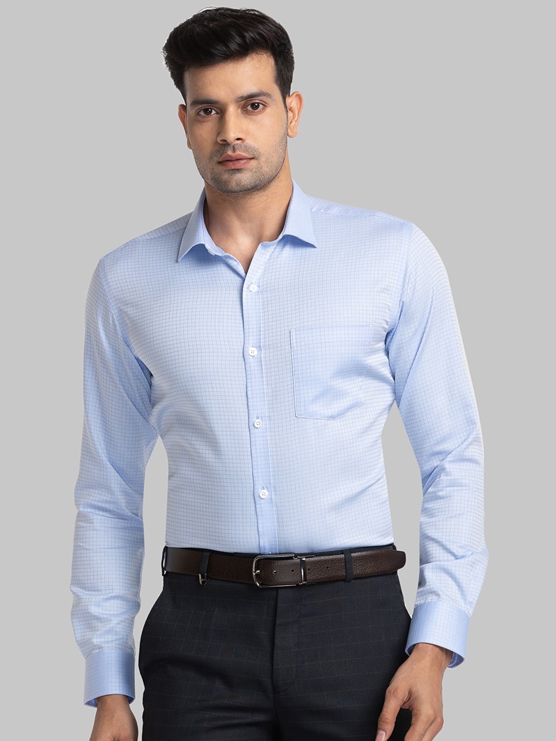 

Park Avenue Slim Fit Checked Pure Cotton Casual Shirt, Blue
