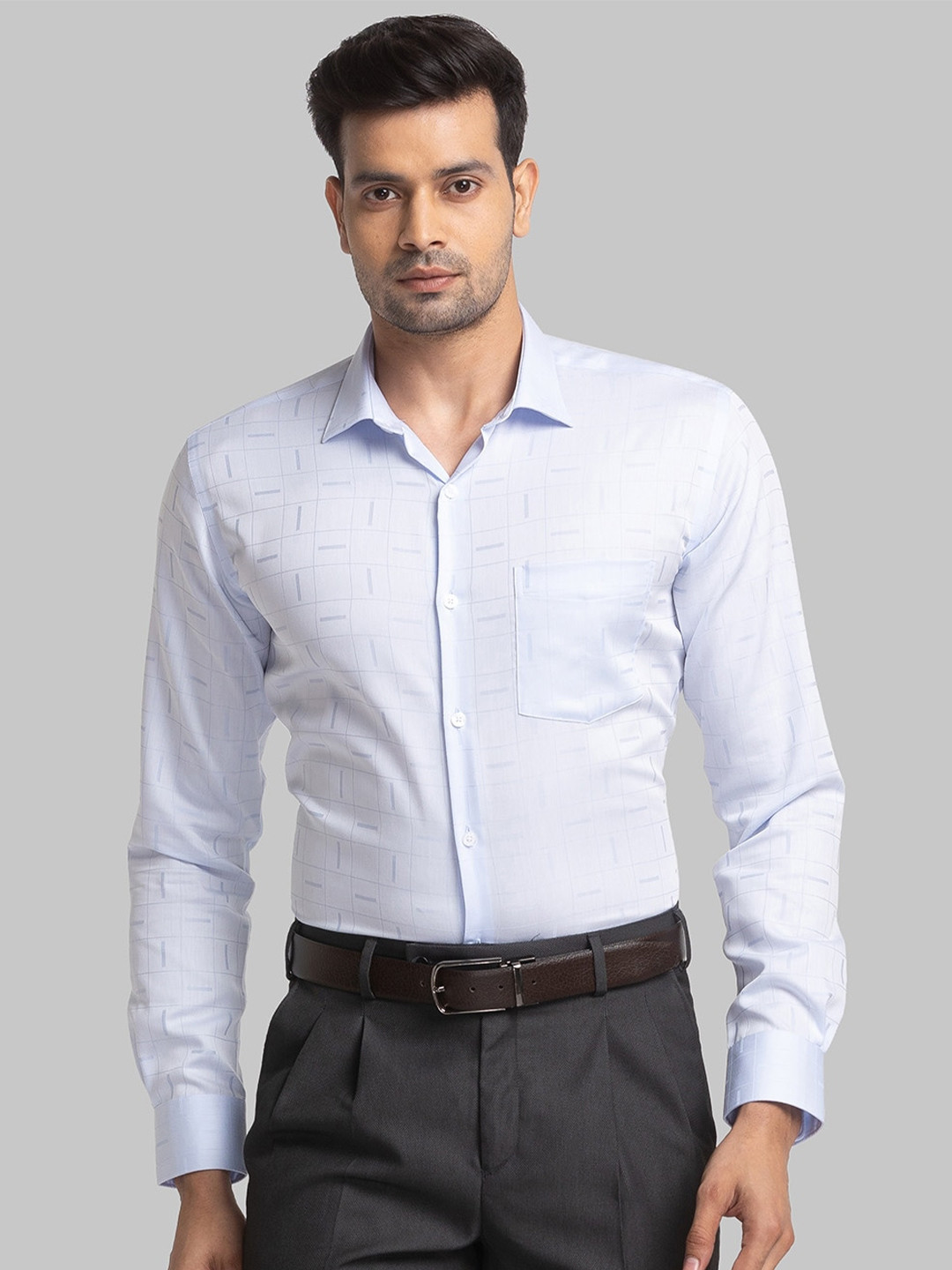 

Park Avenue Slim Fit Checked Pure Cotton Formal Shirt, Blue