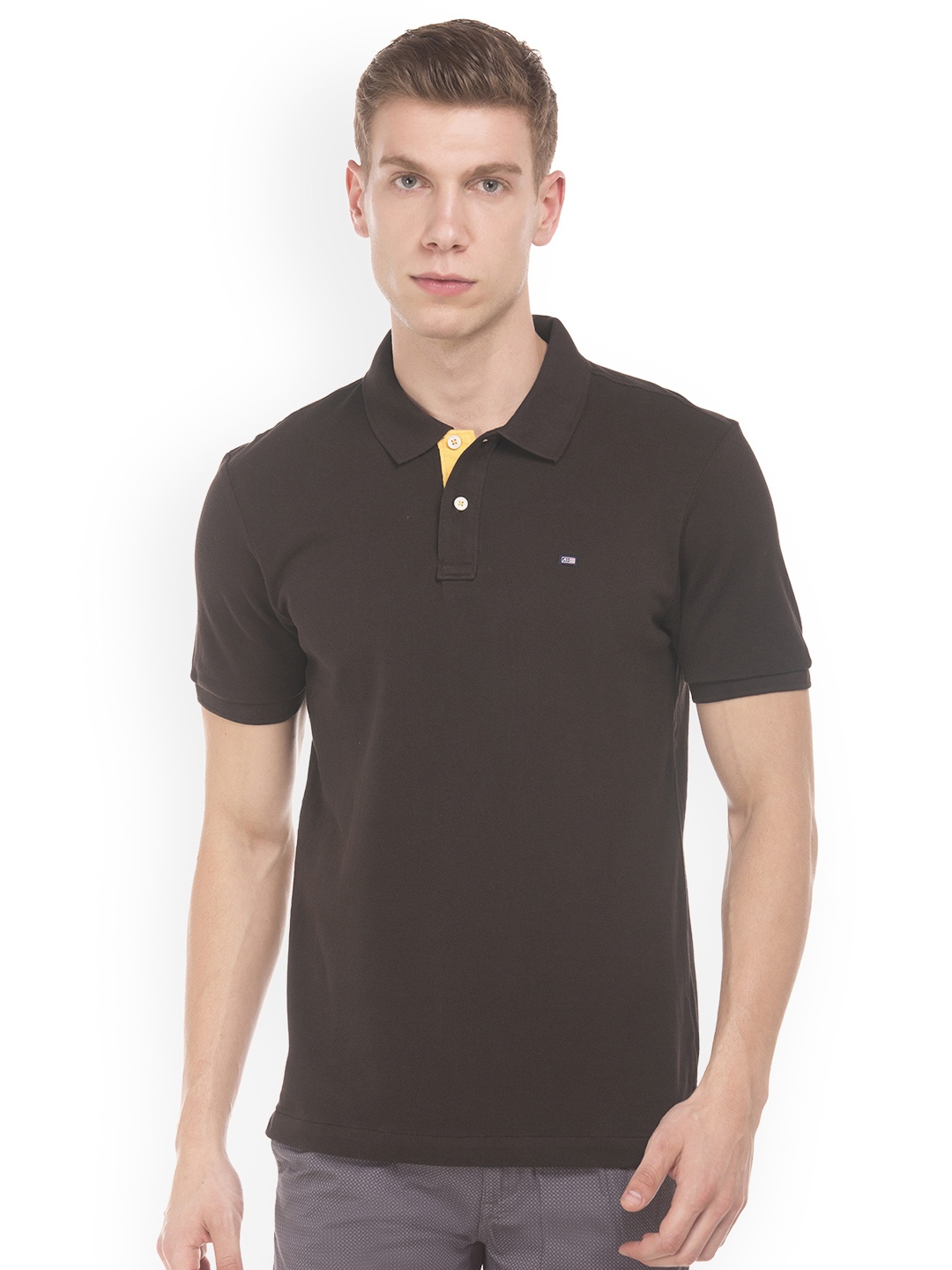 

Arrow Sport Men Brown Solid Polo T-shirt