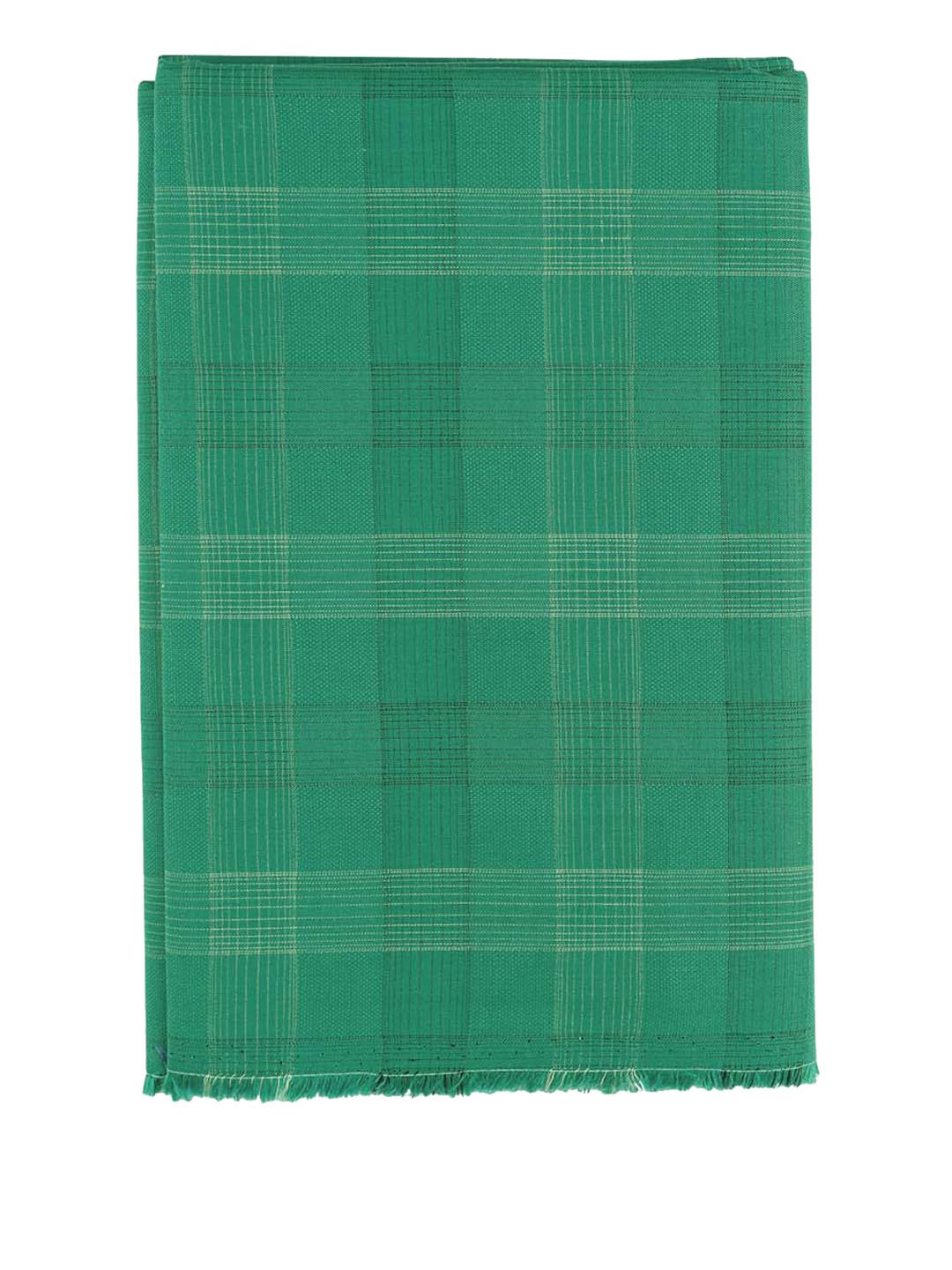 

Ramraj Men Checked Unstitched Shirt Clothing Fabric, Green