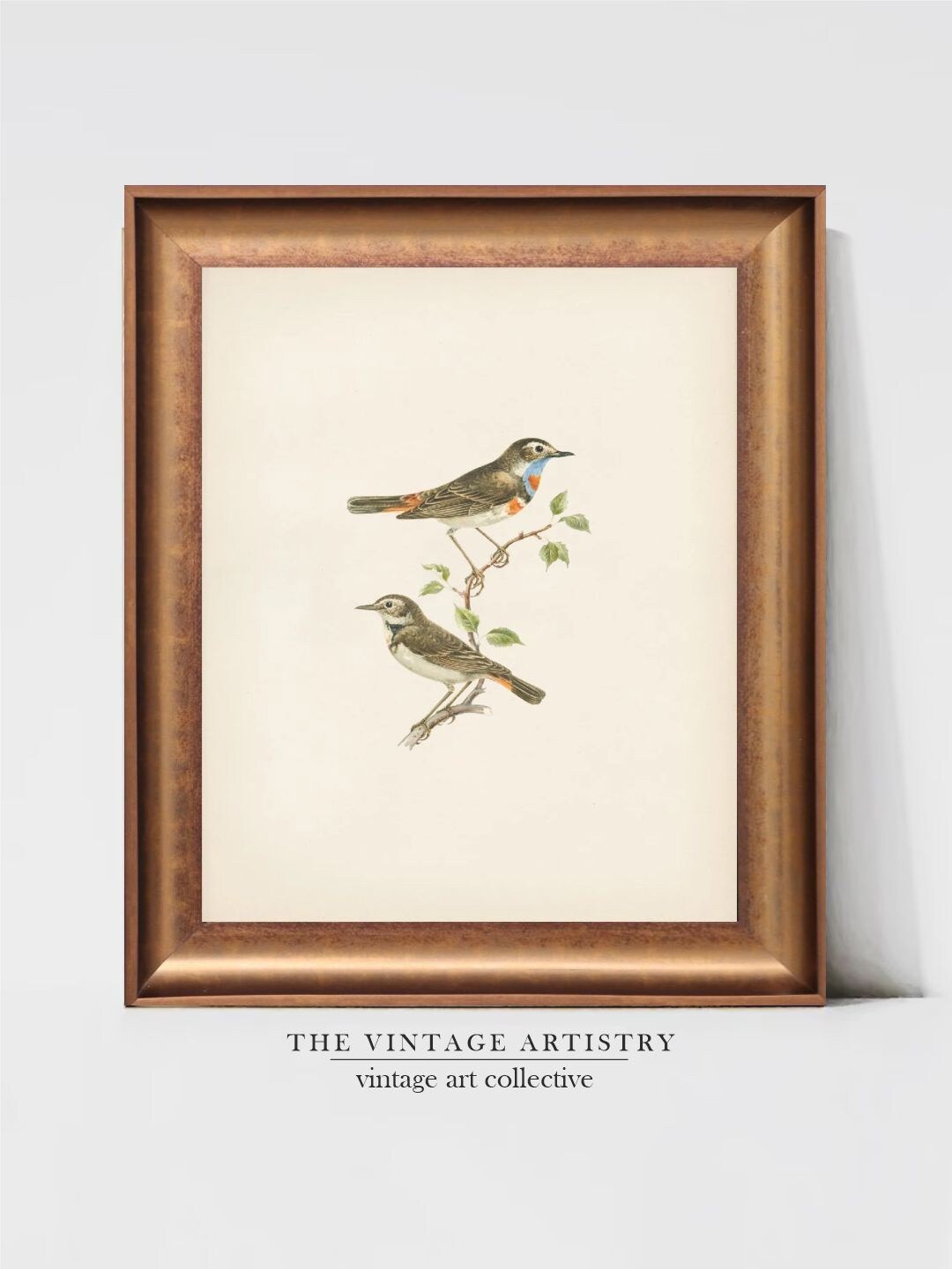 

THE VINTAGE ARTISTRY Brown & Green Vintage Birds Wall Painting With Frame