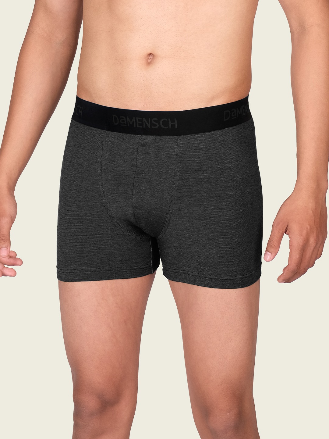 

DAMENSCH Men Premium Cotton Melange Trunk DMS23ITK13SHE, Grey