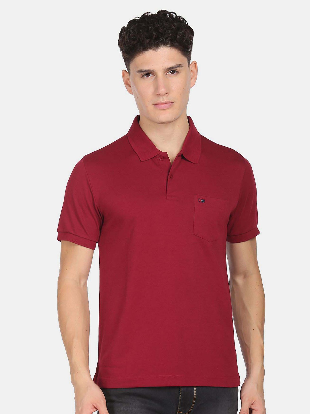 

AD By Arvind Polo Collar Slim Fit T-shirt, Red