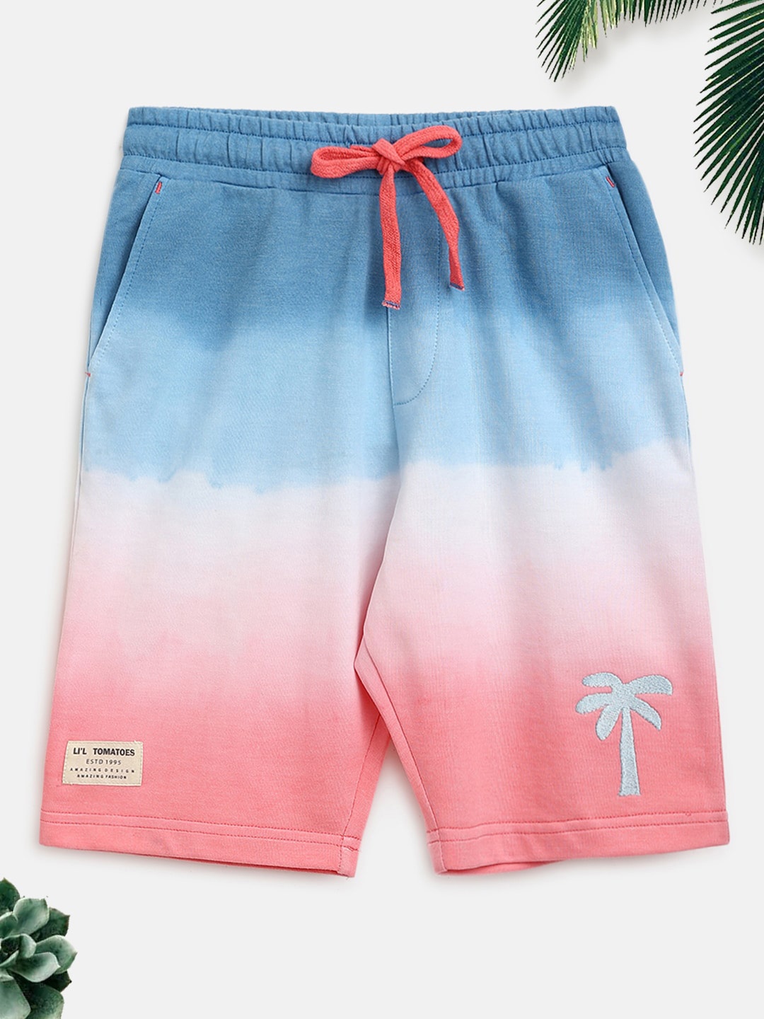 

Lil Tomatoes Boys Ombre Printed Mid Rise Knitted Shorts, Teal