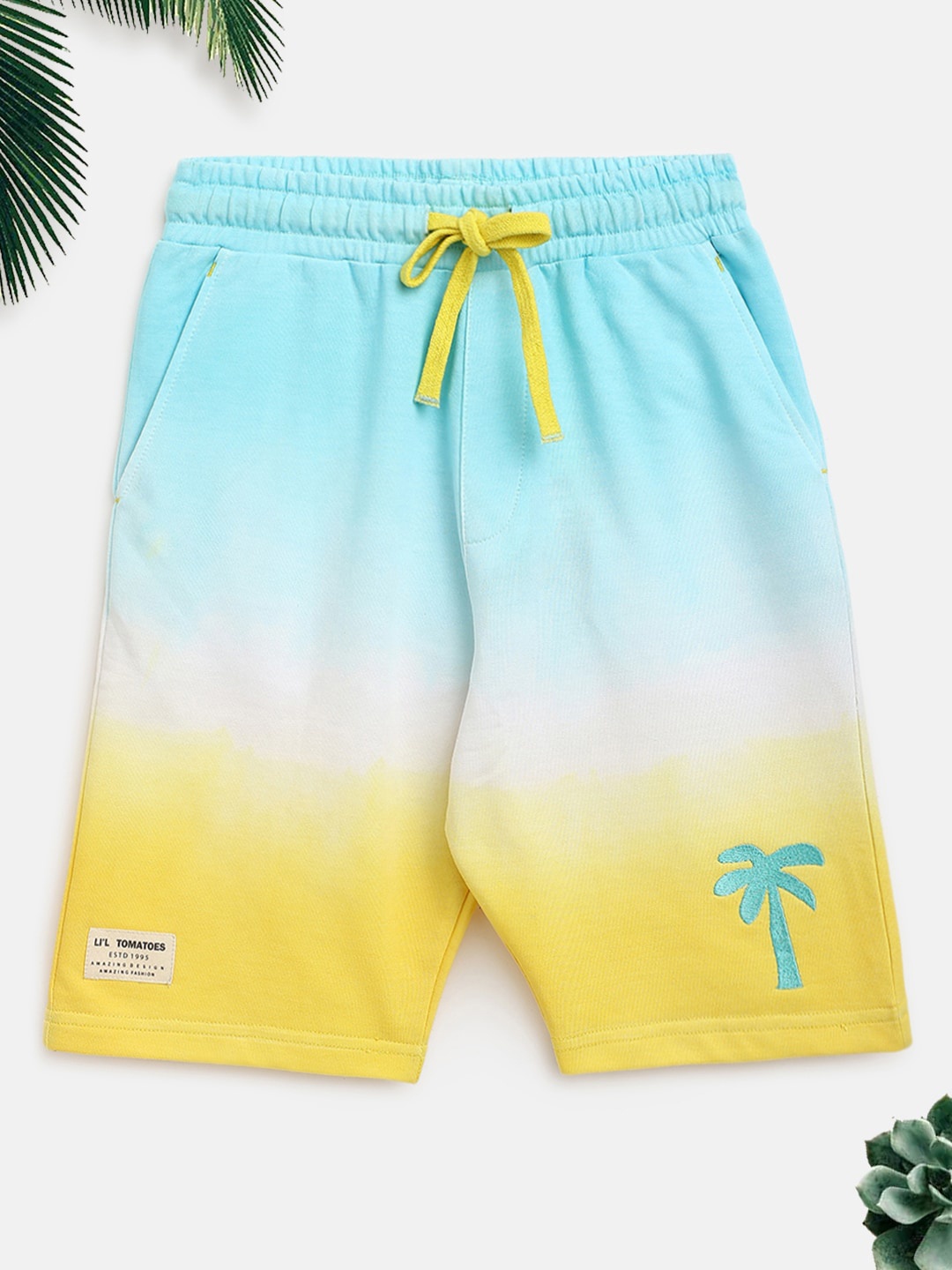 

Lil Tomatoes Boys Colourblocked Mid-Rise Shorts, Blue