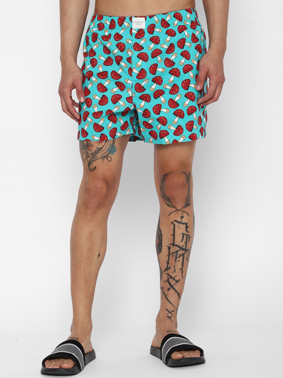 

AMERICAN EAGLE OUTFITTERS Men Printed Inner Elastic Boxers, Blue