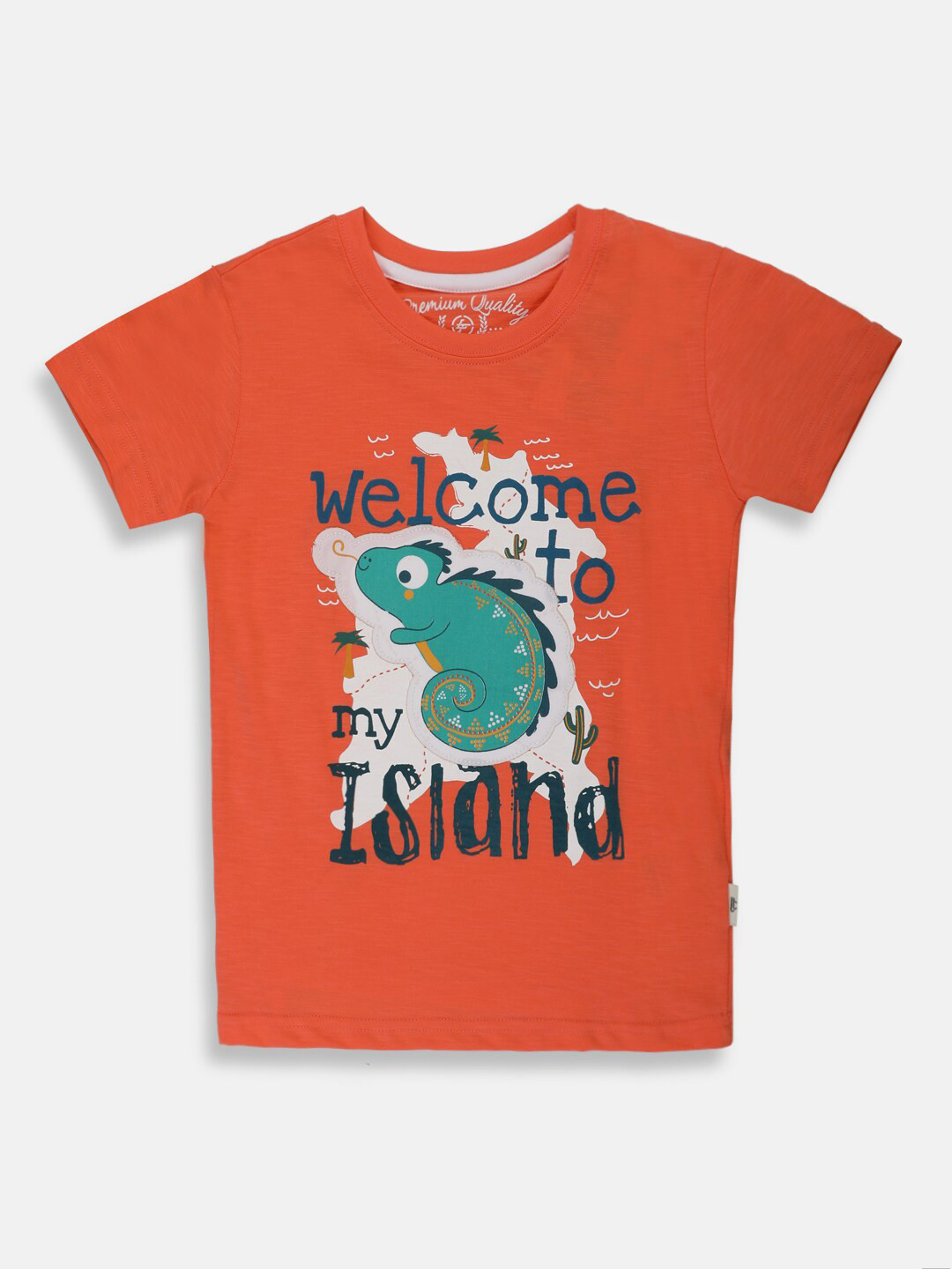 

Lil Tomatoes Boys Typography Printed Round Neck Short Sleeves Cotton T-shirt, Orange