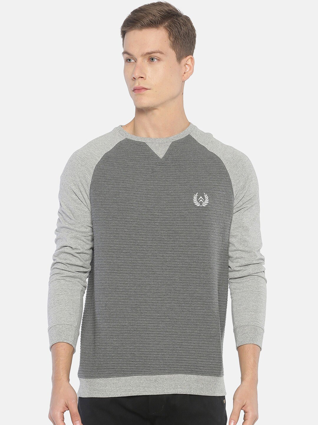 

Steenbok Round Neck Long Sleeves Sweatshirt, Grey