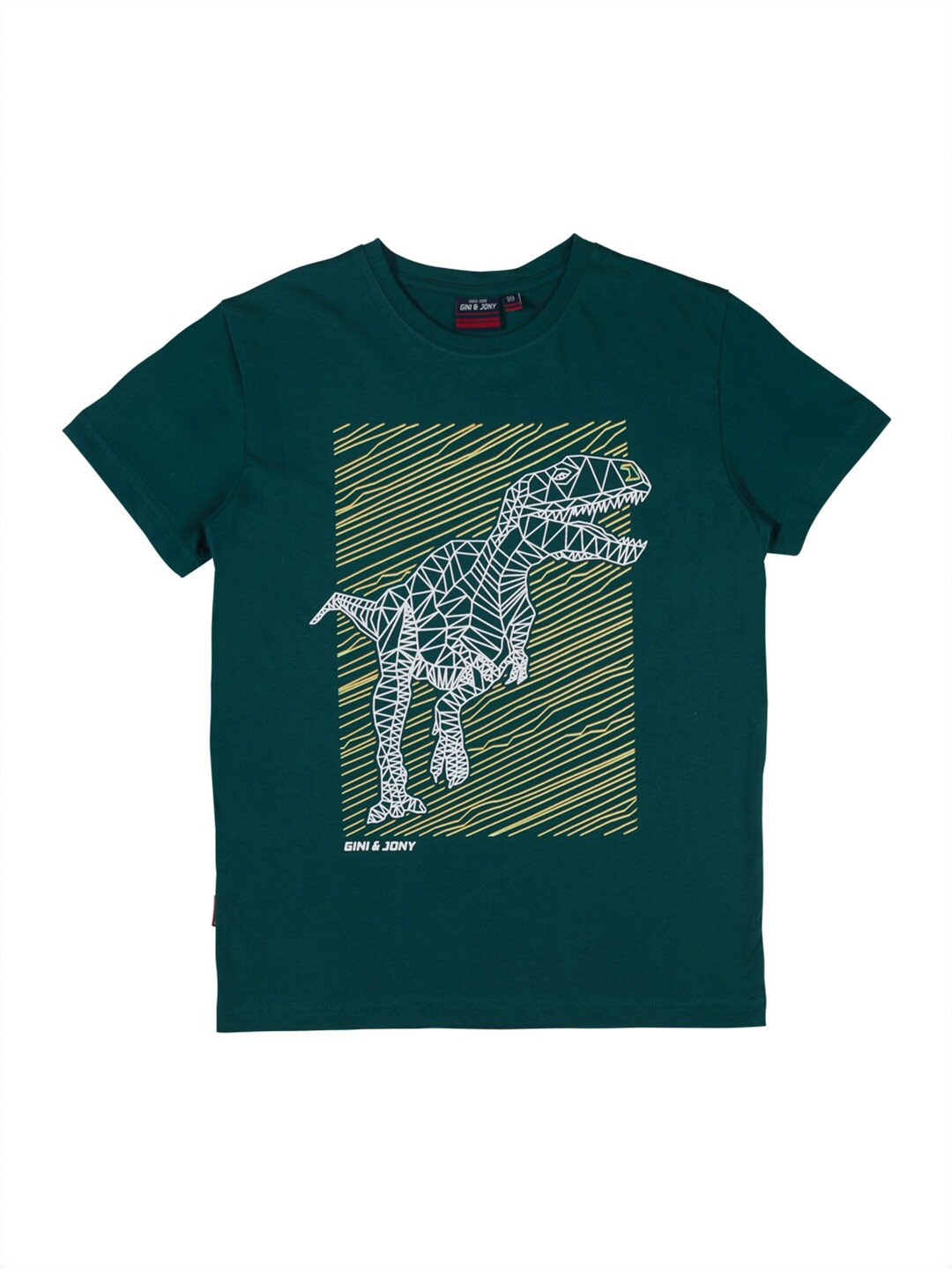 

Gini and Jony Boys Graphic Printed Round Neck Cotton T-shirt, Green
