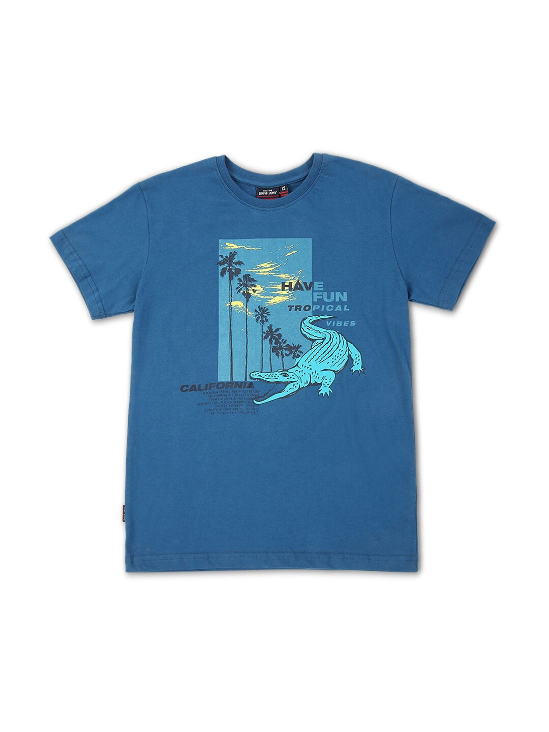 

Gini and Jony Boys Graphic Printed Round Neck Cotton T-shirt, Teal