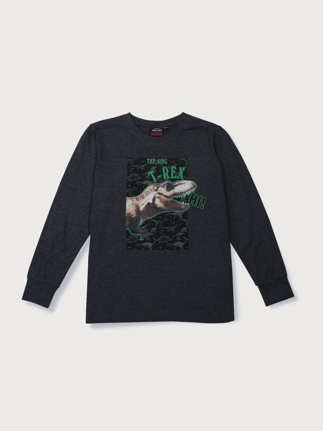 

Gini and Jony Boys Graphic Printed Cotton T-shirt, Charcoal
