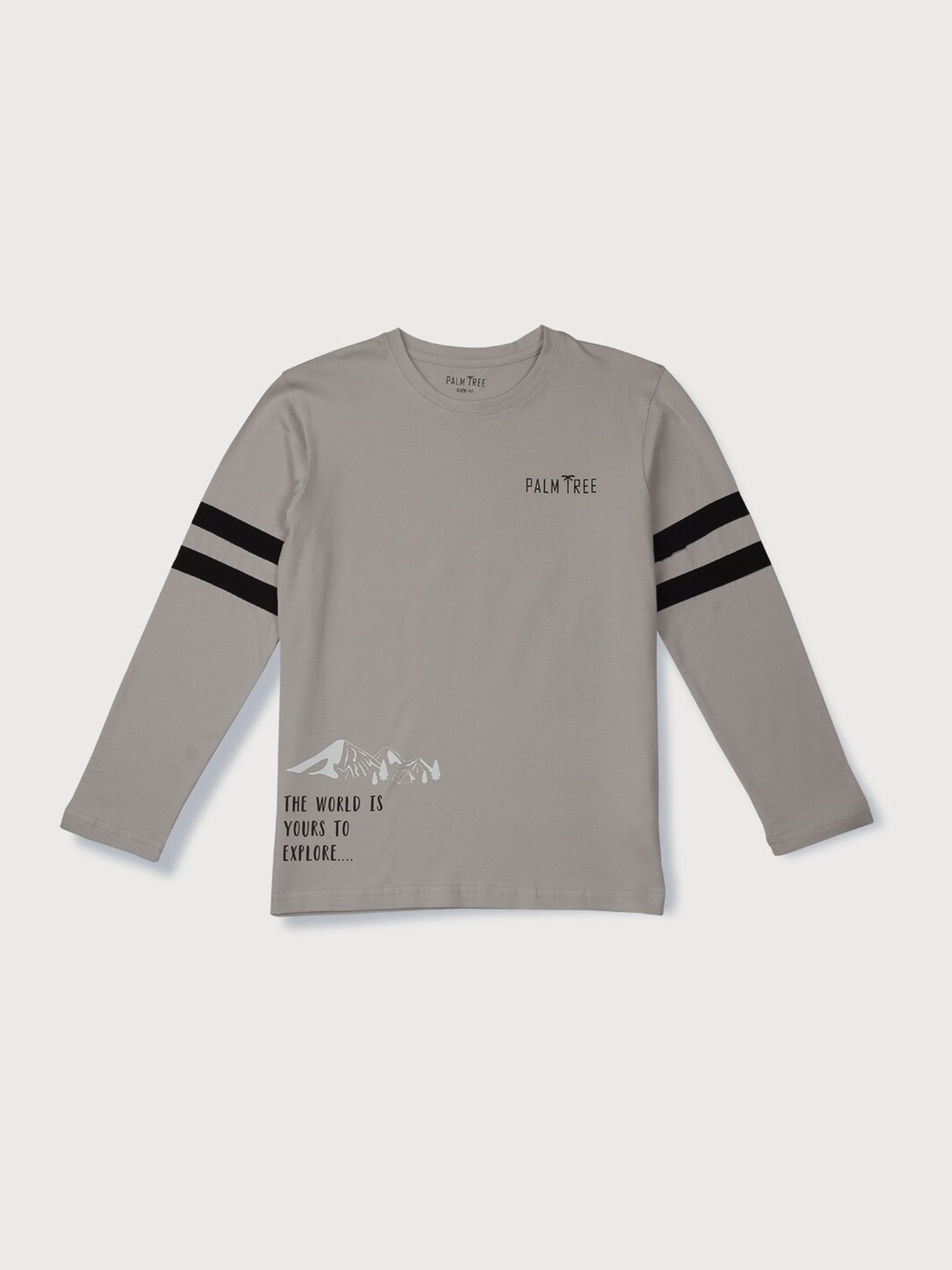 Palm Tree Infant Boys Typography Printed Pure Cotton T-shirt, Grey