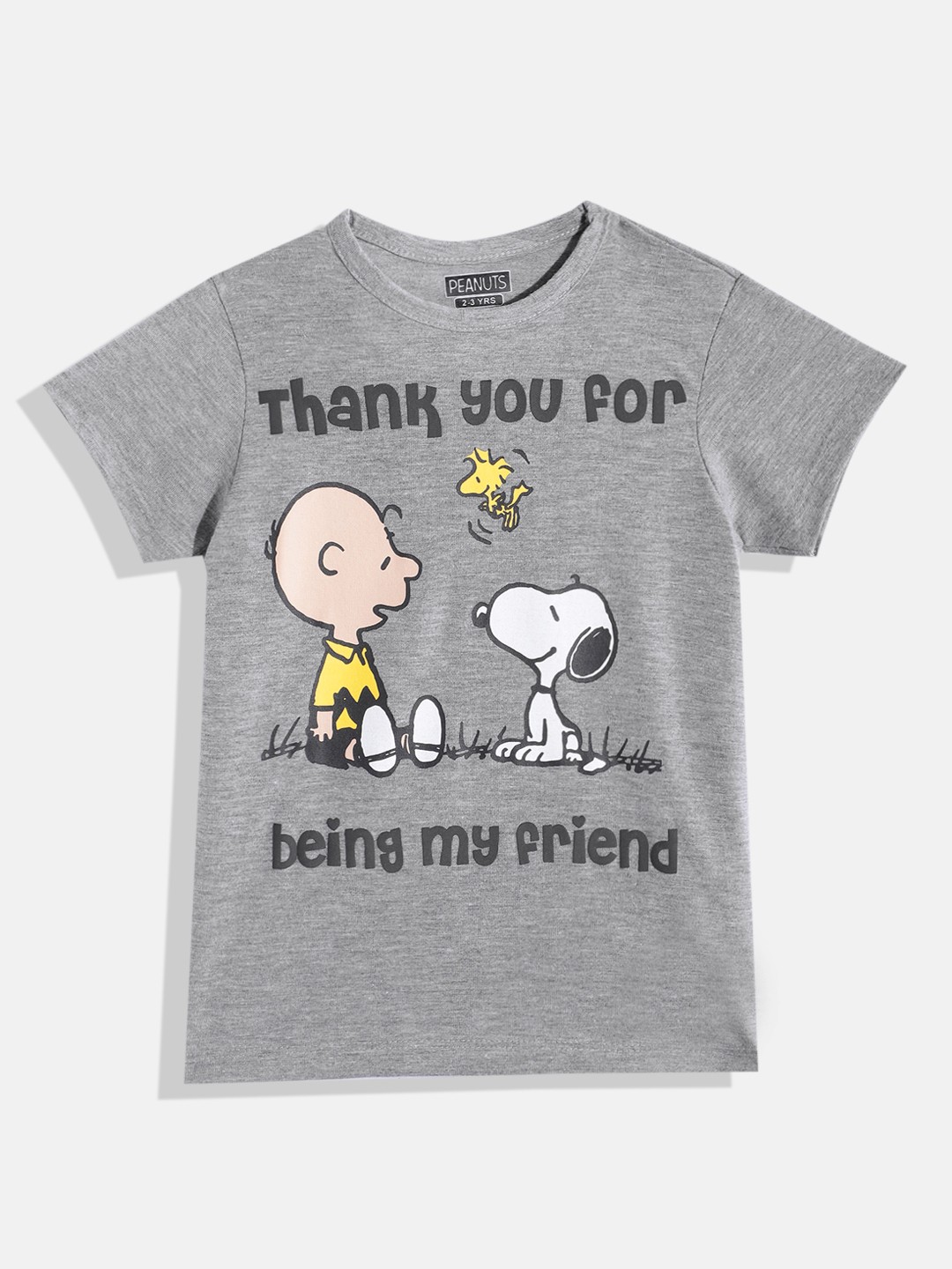 

Eteenz Girls Premium Cotton Peanuts Printed T-shirt, Grey melange