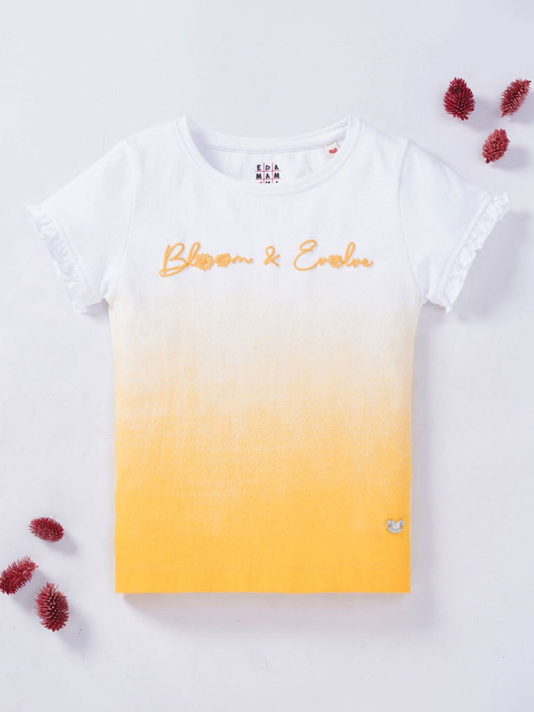 Ed-a-Mamma Round Neck Ombre Cotton T-shirt, Yellow