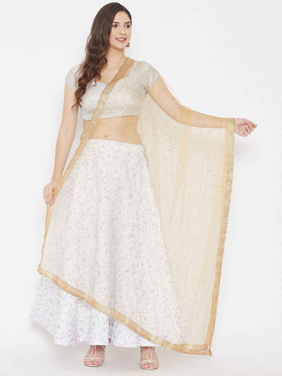 Clora Creation Ethnic Motifs Embroidered Dupatta with Sequinned, Beige