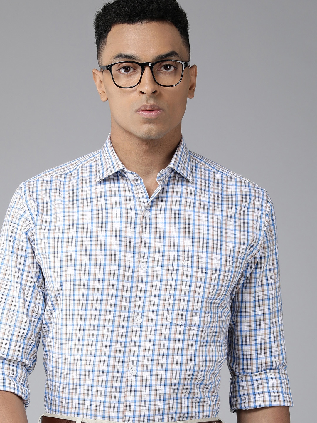 

Park Avenue Men Pure Cotton Slim Fit Opaque Checked Formal Shirt, Blue
