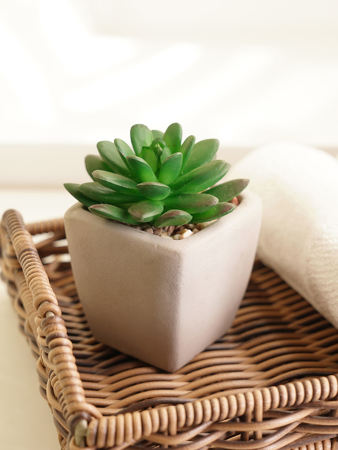 

Pure Home and Living Green & White 2 Pieces Faux Succulent Plants With Pots