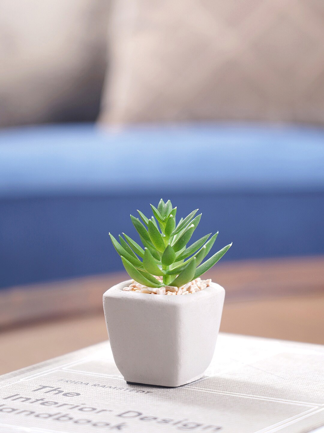 

Pure Home and Living Green & White 4 Pieces Faux Succulent Plant With Pots