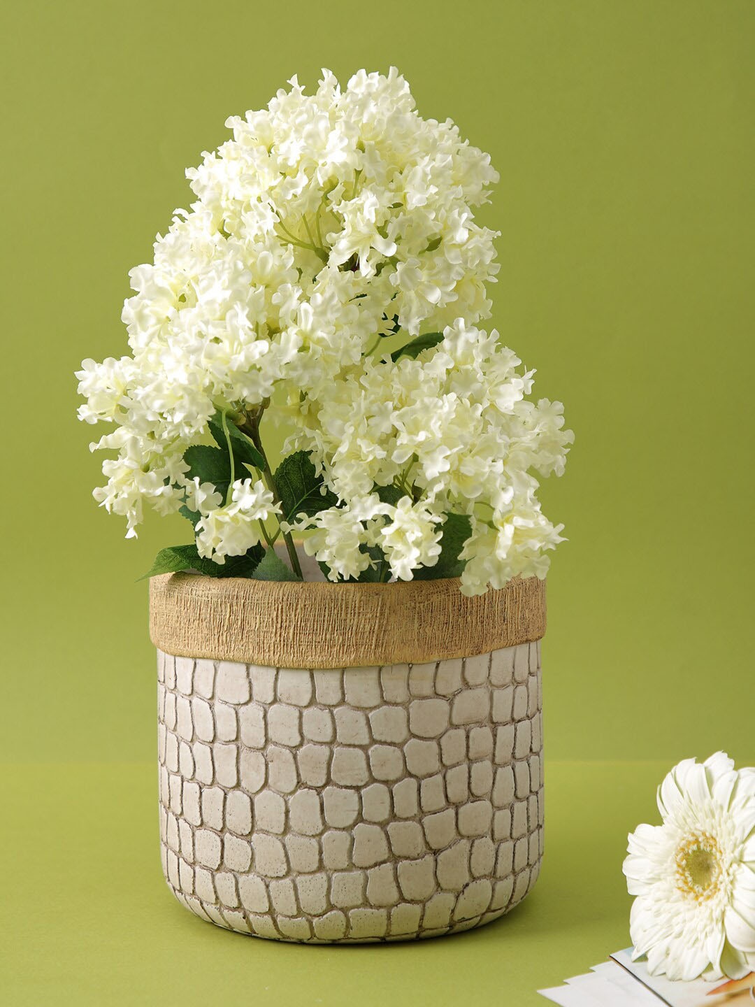 

TAYHAA Grey Textured Ceramic Planter