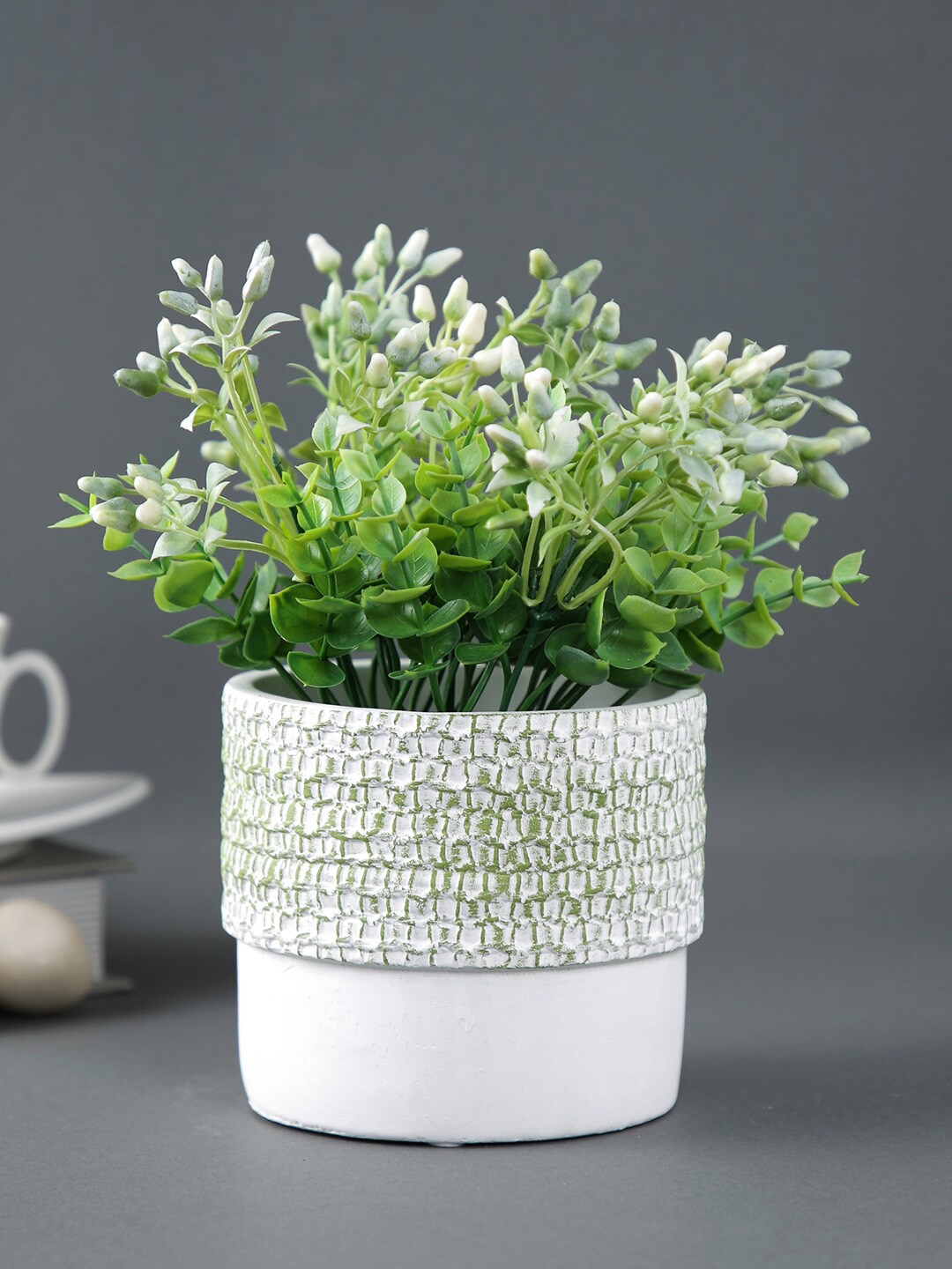

TAYHAA White & Green Textured Ceramic Planter