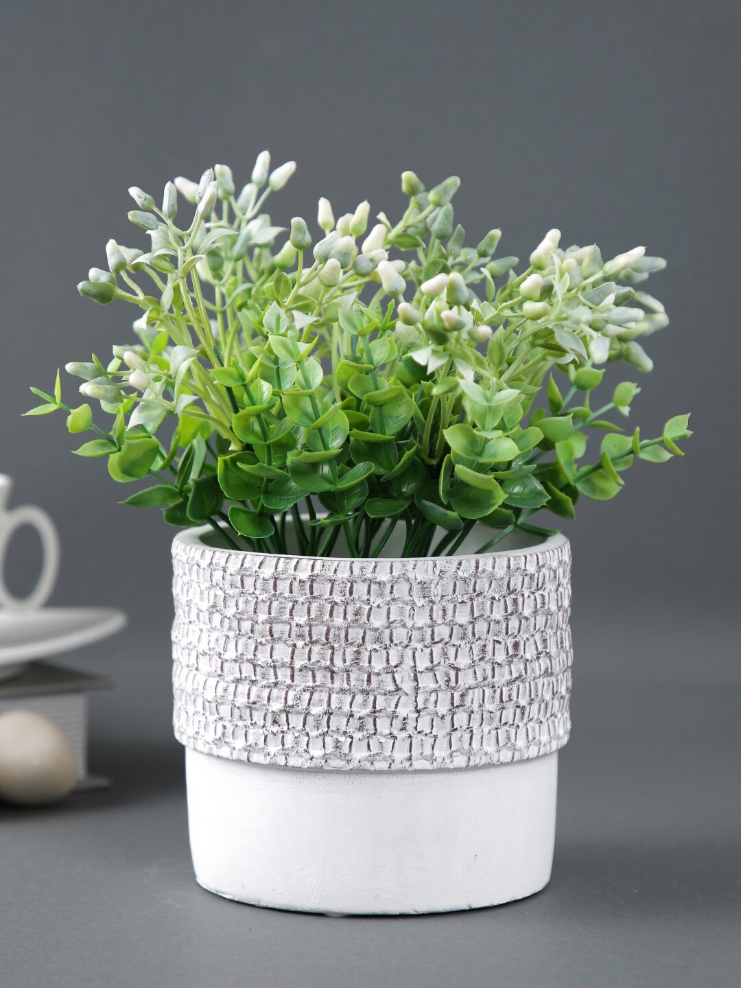 

TAYHAA White & Brown Textured Effect Ceramic Planter