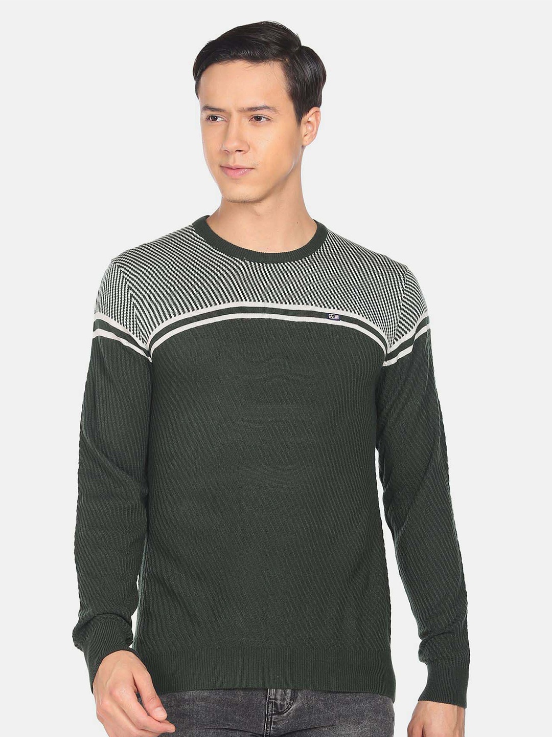 

Arrow Sport Round Neck Colourblocked Cotton Pullover, Olive