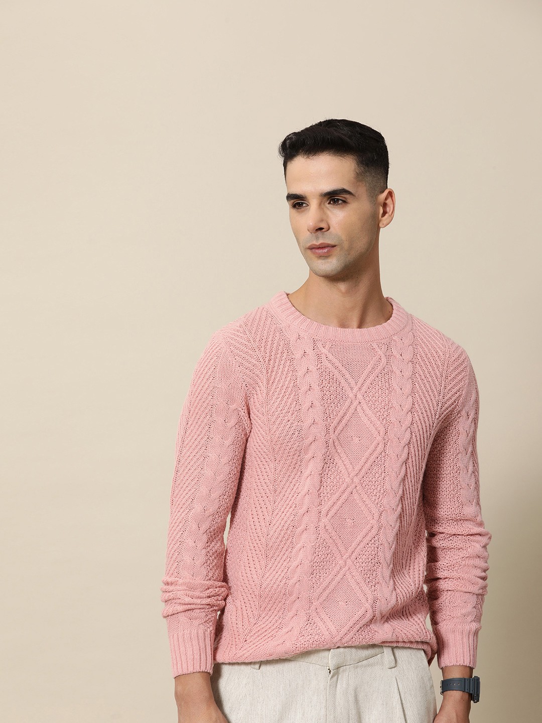 

Mr Bowerbird Men Solid Cable Ribbed Tailored Fit Pullover, Pink