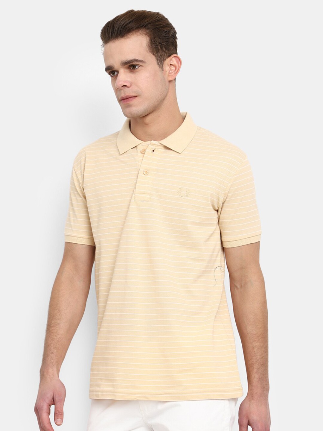 

V-Mart Striped Polo Collar Slim Fit T-shirt, Beige
