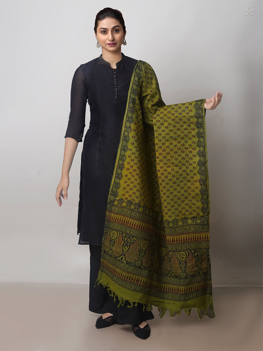 

Unnati Silks Ethnic Motifs Printed Pure Cotton Block Print Dupatta, Green