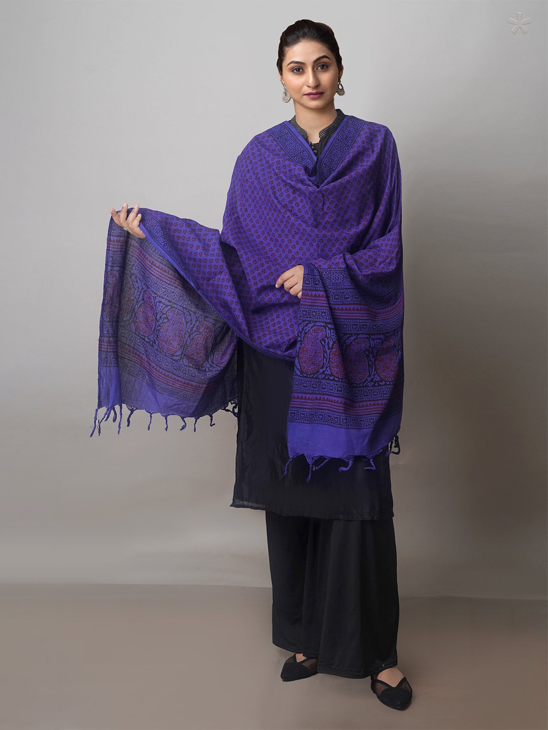 

Unnati Silks Ethnic Motifs Printed Pure Cotton Block Print Dupatta, Blue