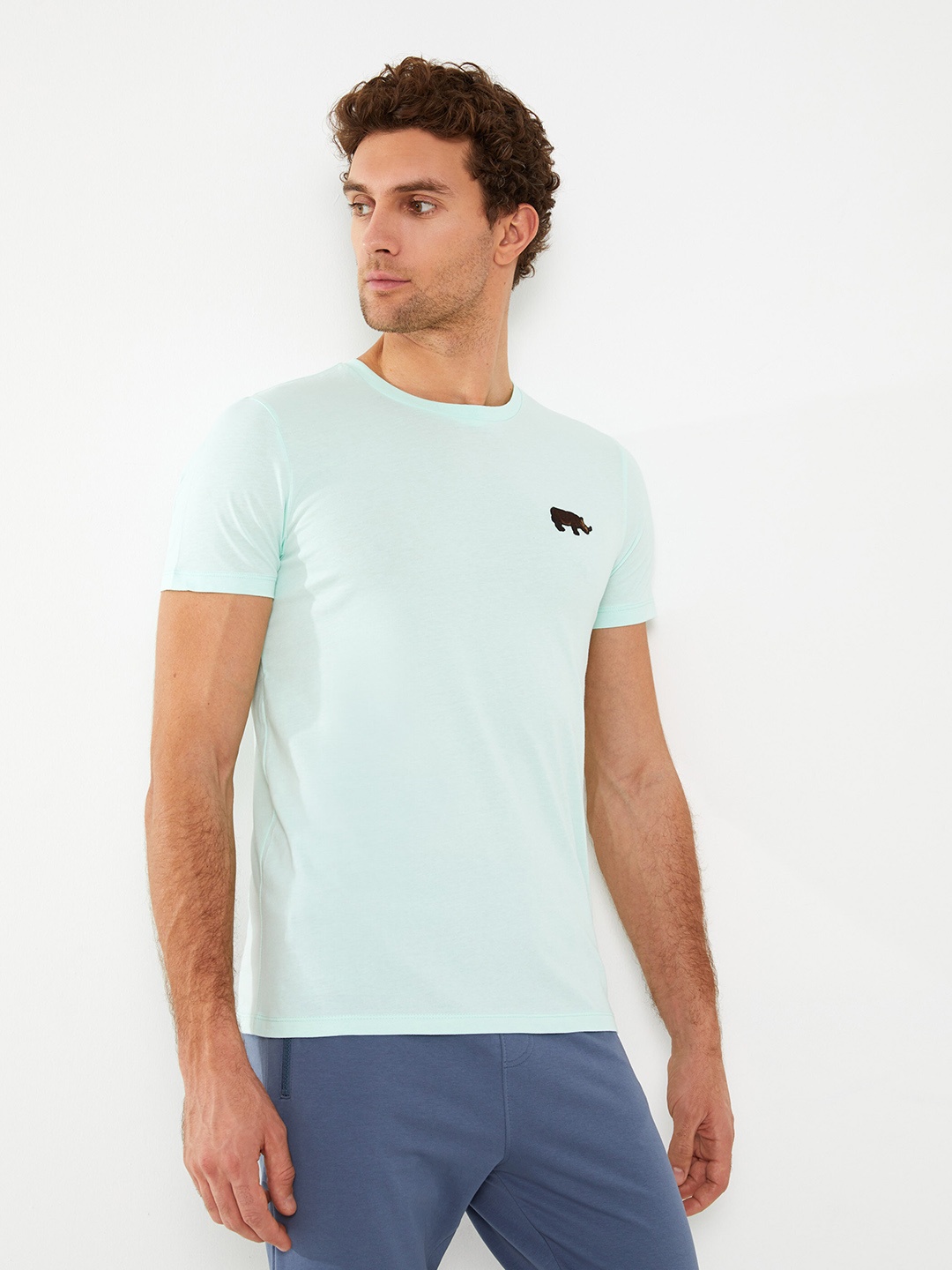 

LC Waikiki Embroidered Detail Pure Cotton T-shirt, Sea green
