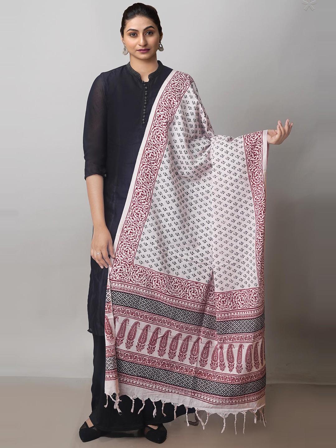 

Unnati Silks Ethnic Motifs Printed Pure Cotton Block Print Dupatta, White