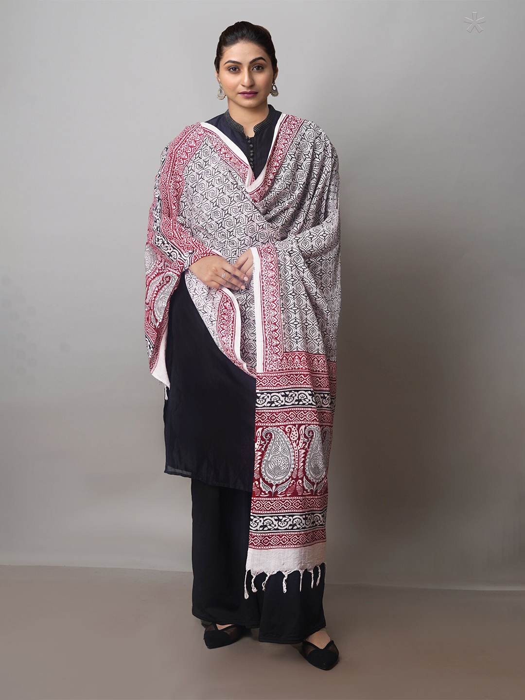 

Unnati Silks Ethnic Motifs Printed Pure Cotton Block Print Dupatta, White