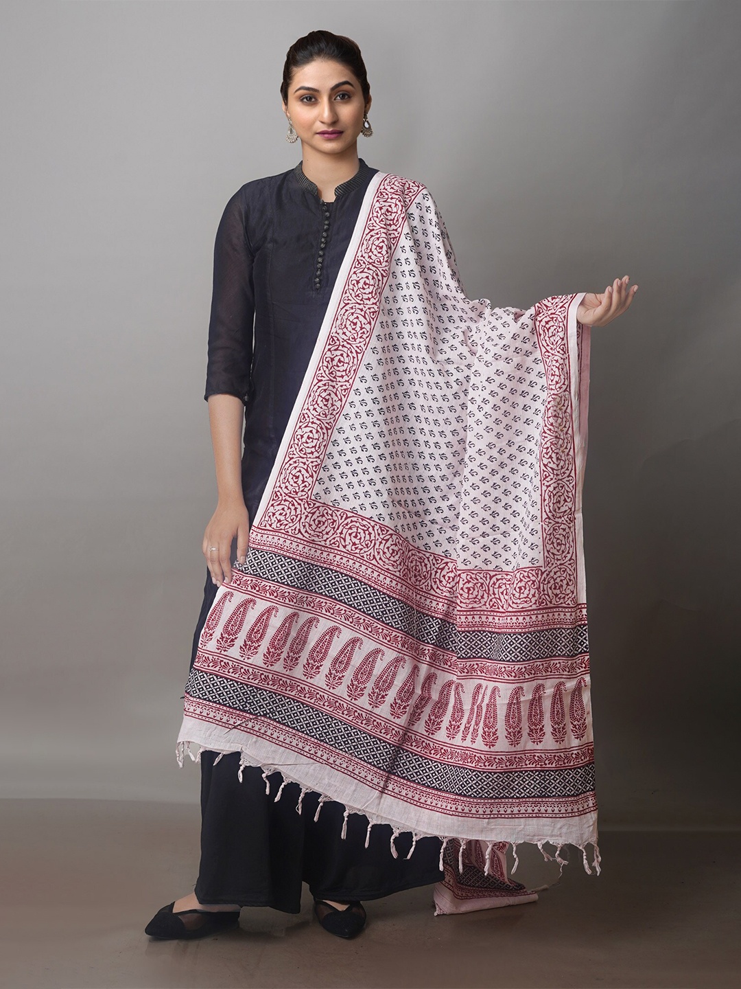 

Unnati Silks Ethnic Motifs Printed Pure Cotton Block Print Dupatta, White