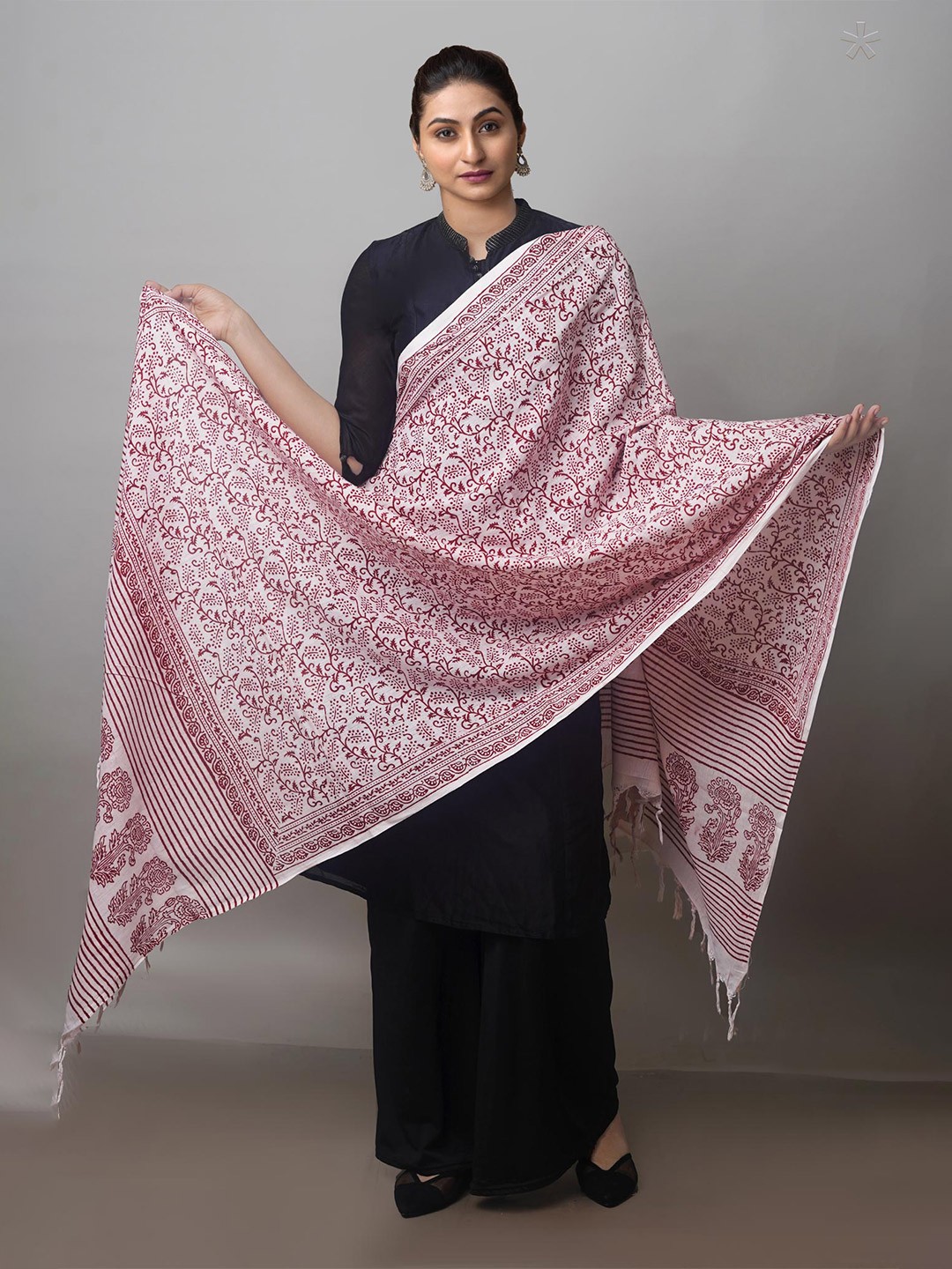 

Unnati Silks Ethnic Motifs Printed Pure Cotton Block Print Dupatta, White