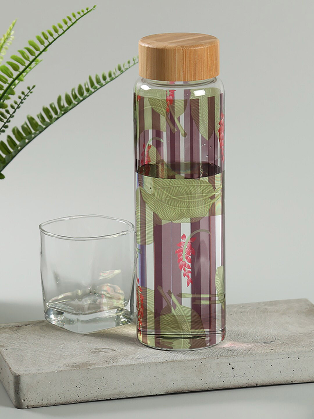 

India Circus by Krsnaa Mehta Printed Leakproof Borosilicated Glass Water Bottle 1L, Transparent