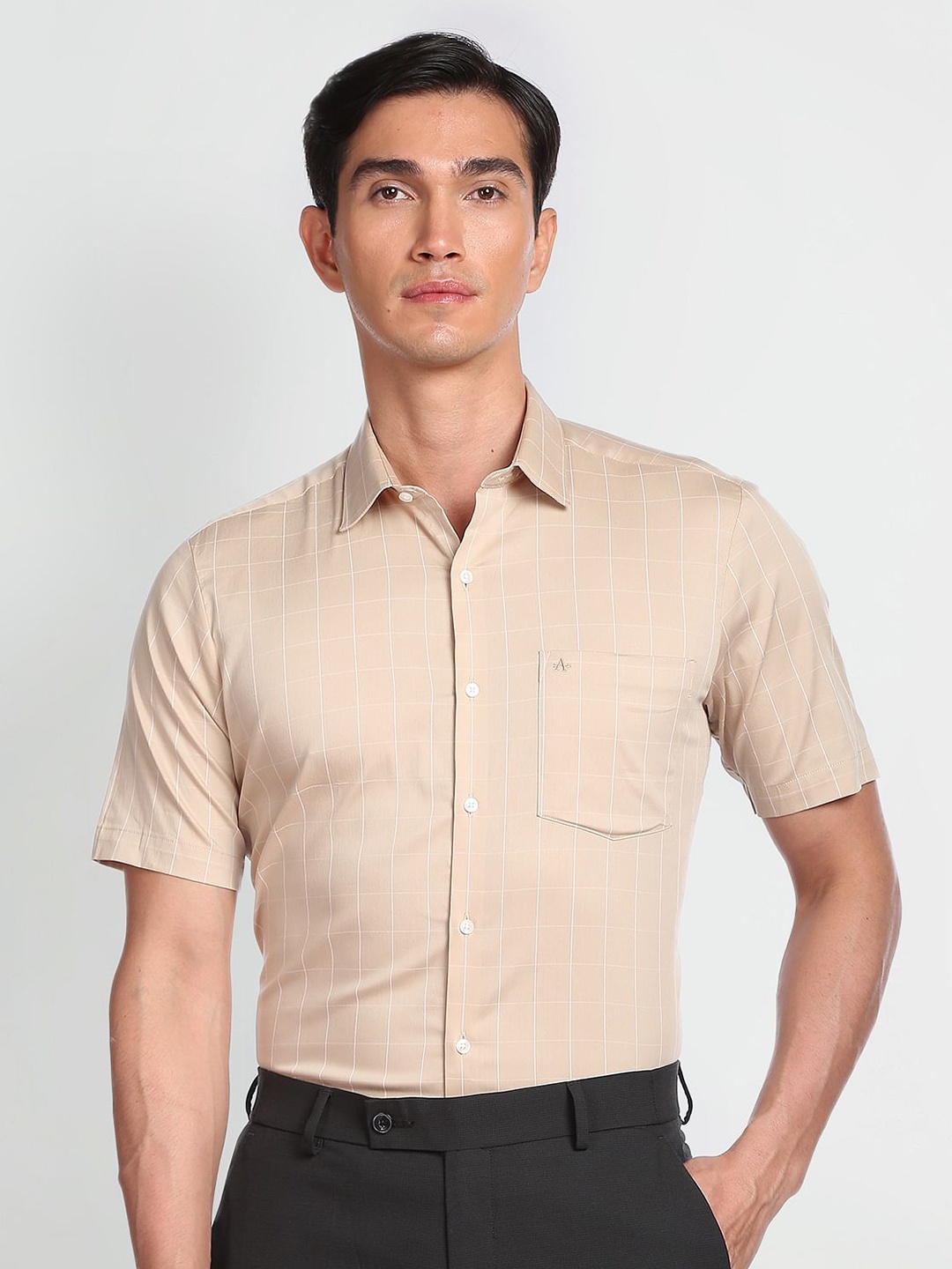 

Arrow Spread Collar Other Checks Twill Cotton Casual Shirt, Beige
