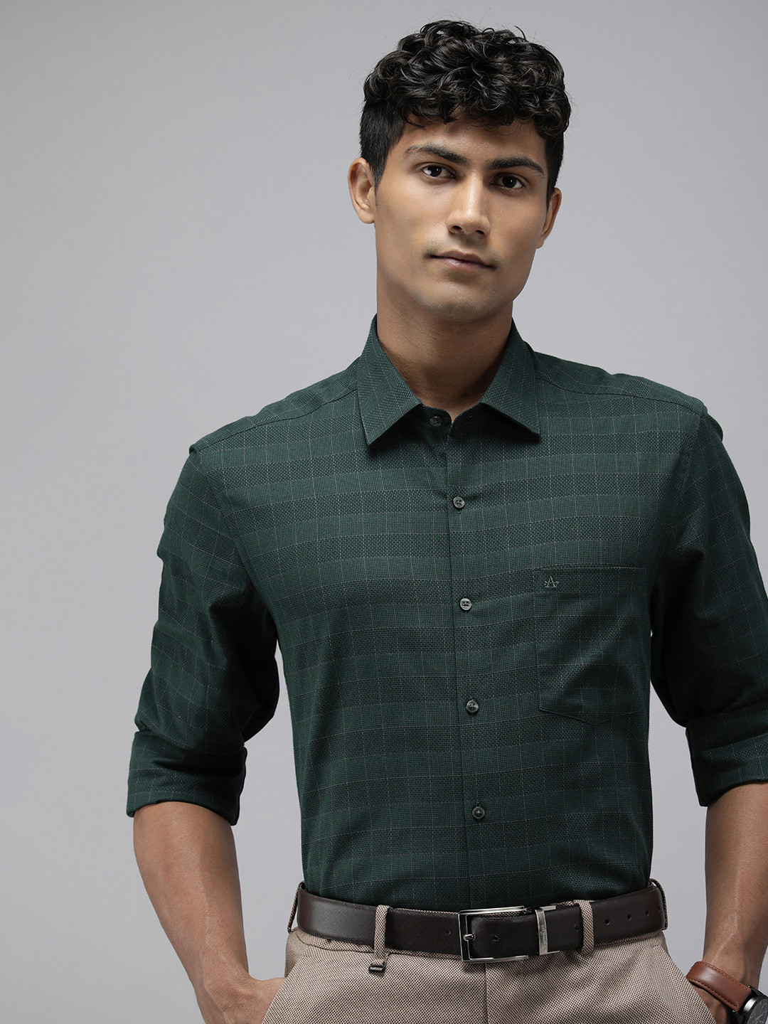

Arrow Pure Cotton Manhattan Slim Fit Opaque Checked Formal Shirt, Green
