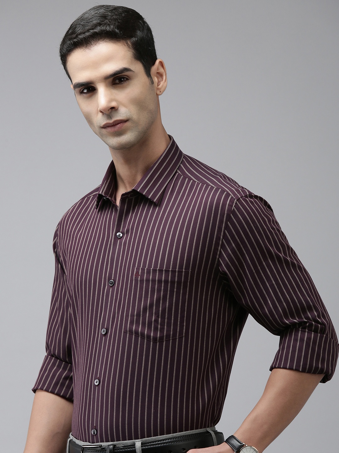 

Arrow Original Slim Fit Striped Pure Cotton Formal Shirt, Maroon