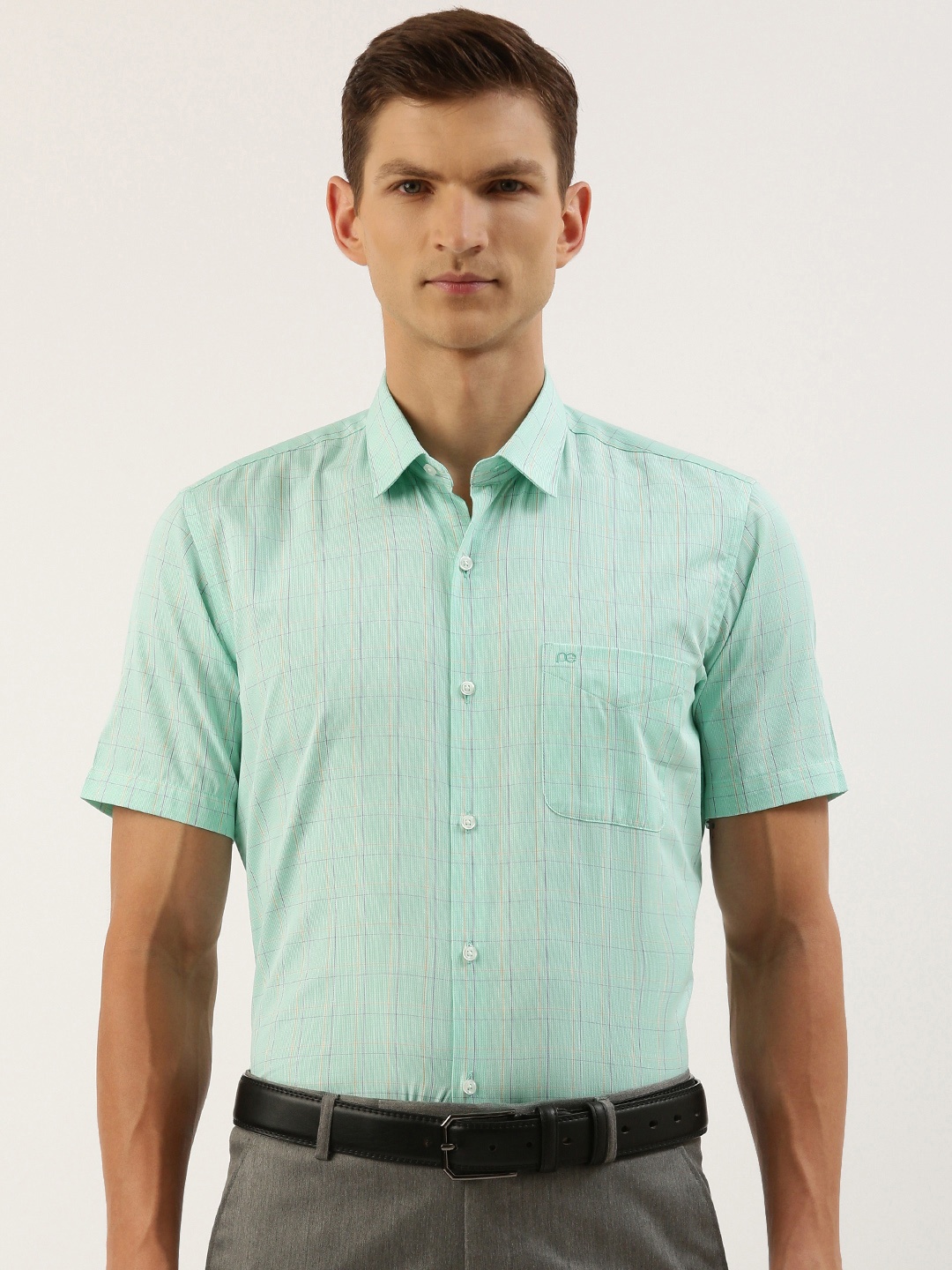 

Peter England Men Slim Fit Opaque Checked Formal Shirt, Green