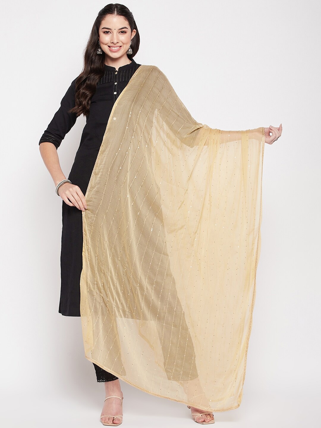 

Clora Creation Embroidered Chiffon Dupatta With Sequinned, Beige